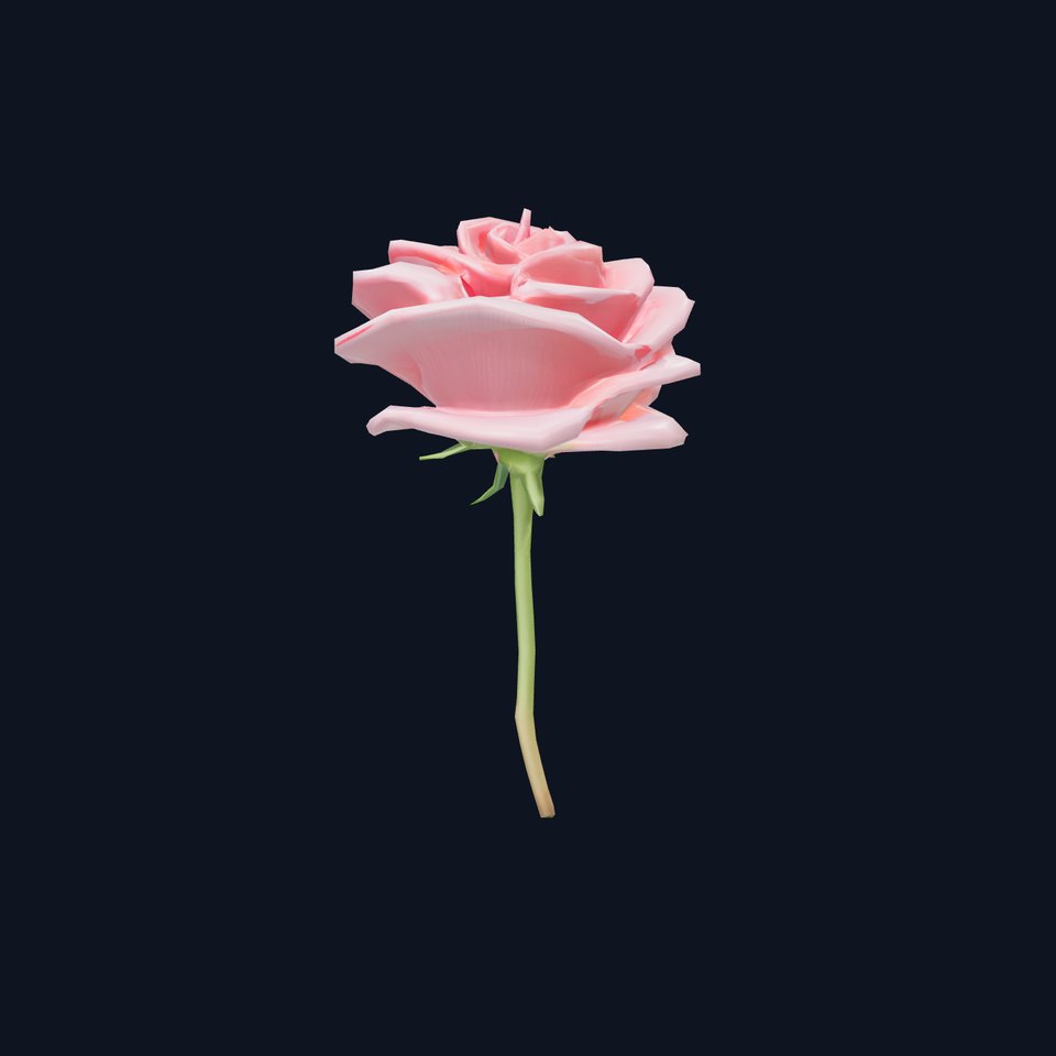 Elegant Pink Rose model pack